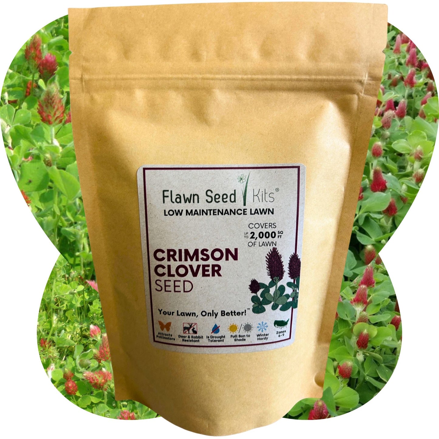 Crimson Clover Seed