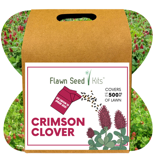 Crimson Clover Eco-Friendly Seeding Kit