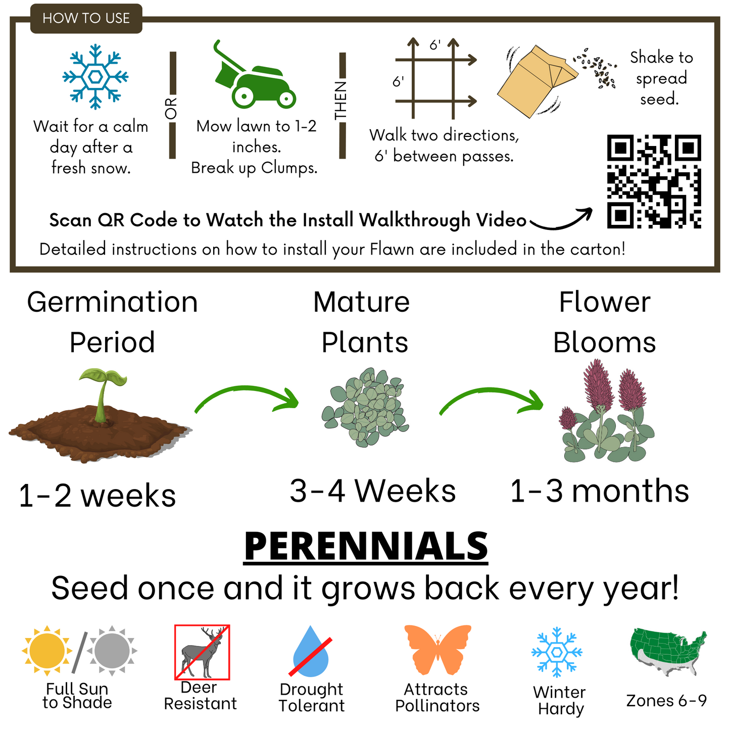 Crimson Clover Eco-Friendly Seeding Kit