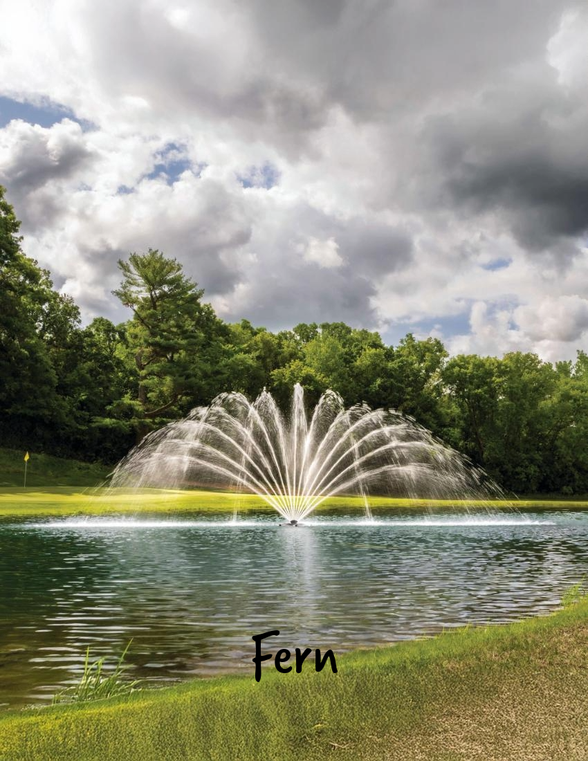 Kasco JF5.1H 5 HP Fountain w/5 Patterns  – 230v