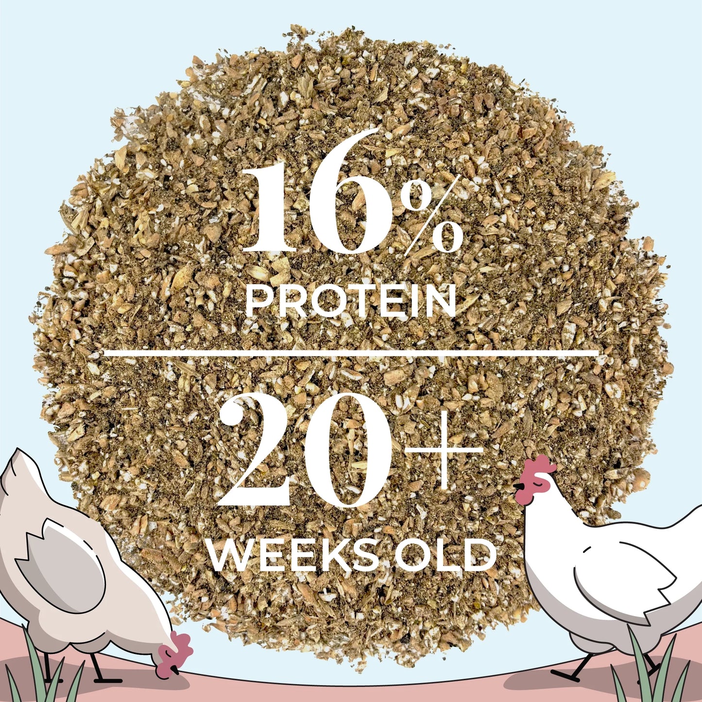 Layer Feed Kit | 1 Month of Organic Feed, Grit & Oyster Shell for 10 Layers