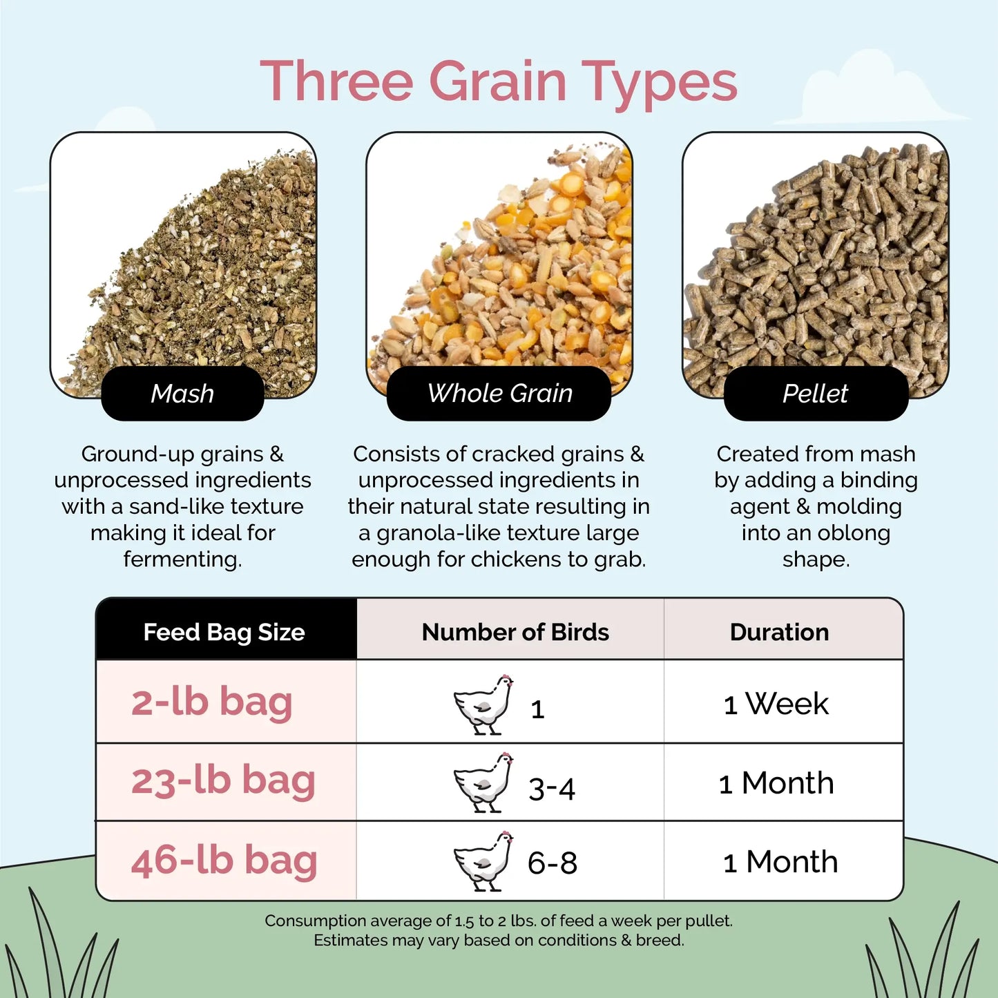 Grower Feed Kit | 12 Weeks of Organic Feed & Grit for 10 Pullets