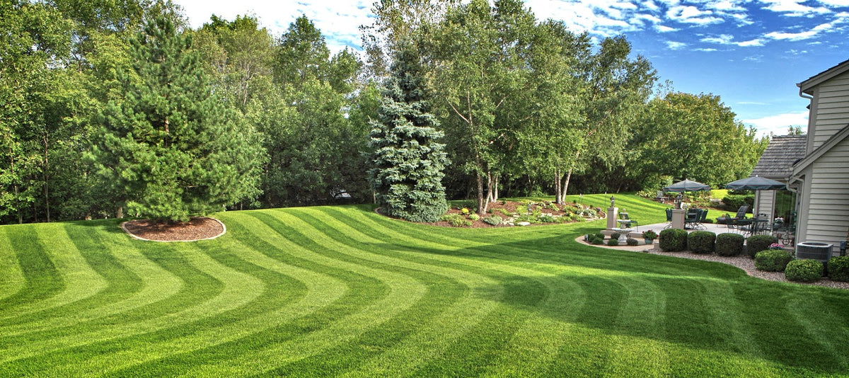 Freshly mowed lawn with crisp alternating stripes