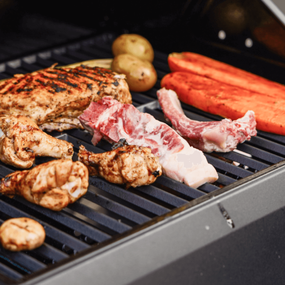 Mesa 220 | Black Foldable Propane Gas Grill