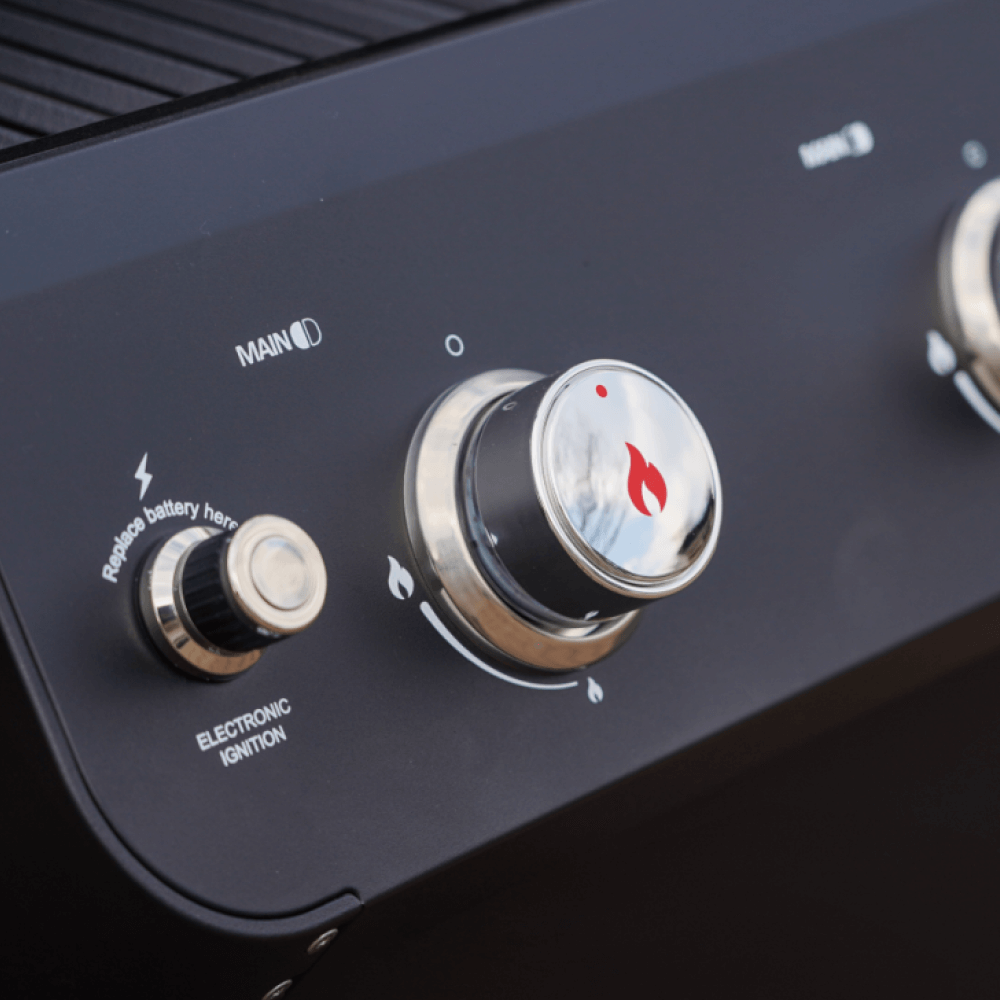 Mesa 220 | Black Foldable Propane Gas Grill