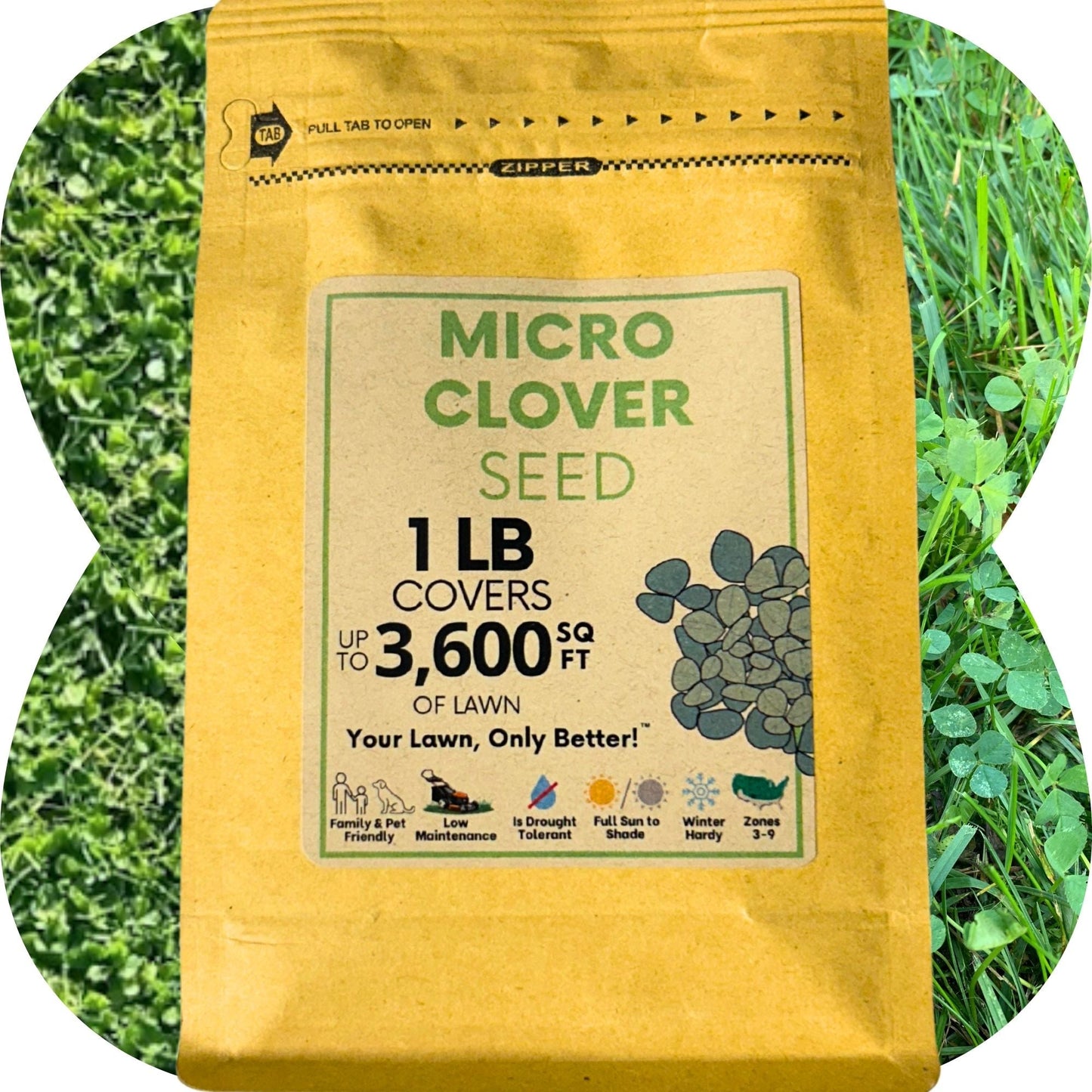 Micro Clover Seed