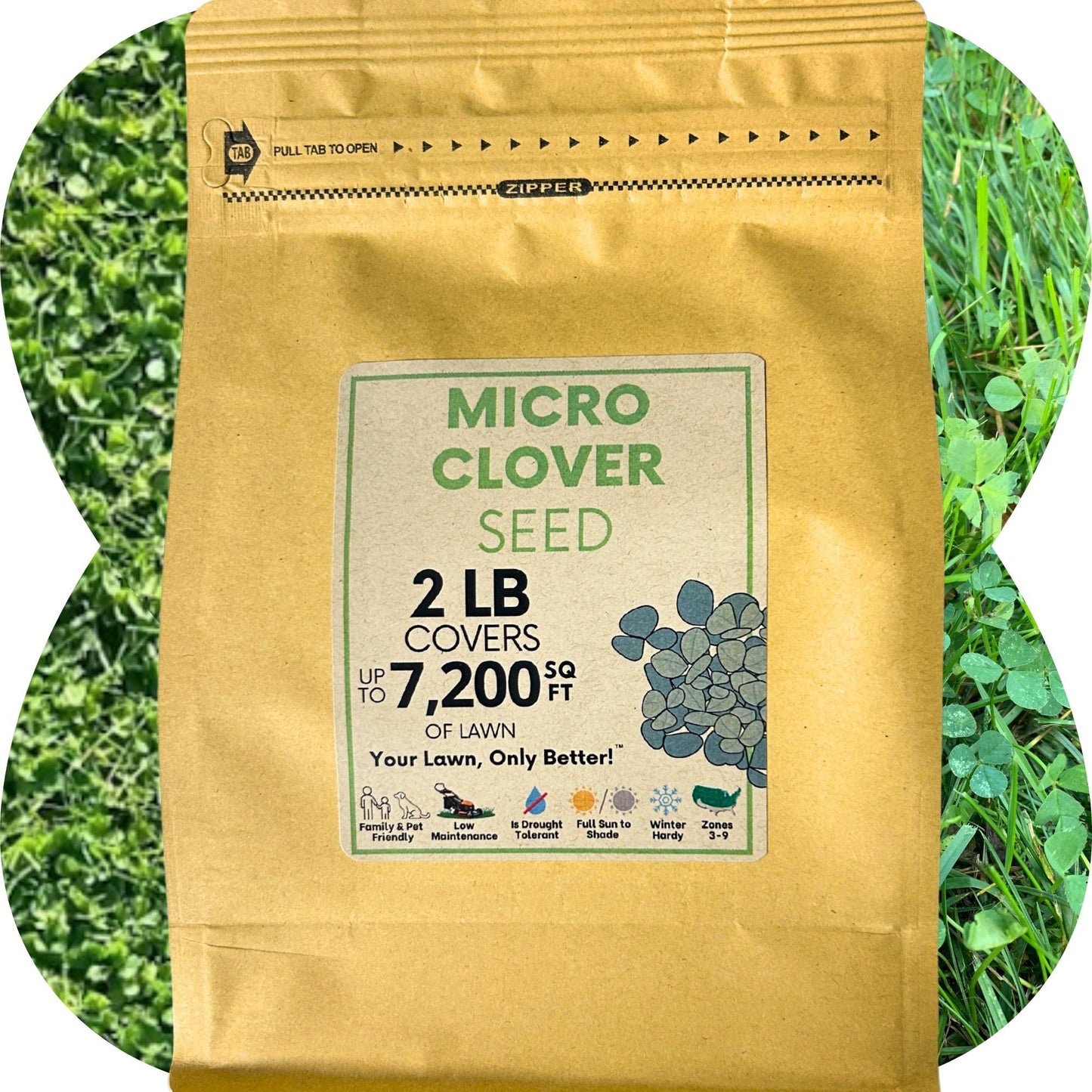 Micro Clover Seed