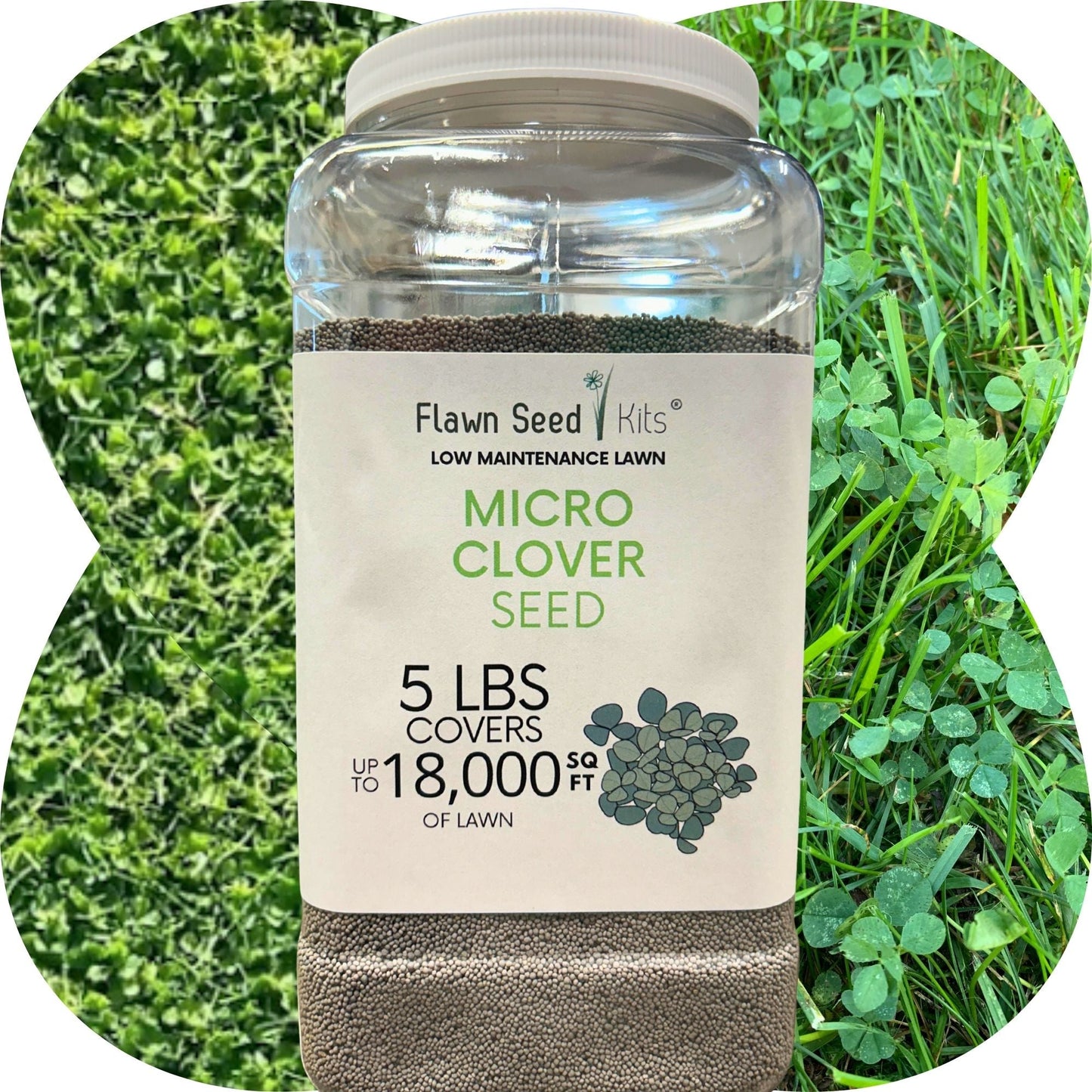 Micro Clover Seed
