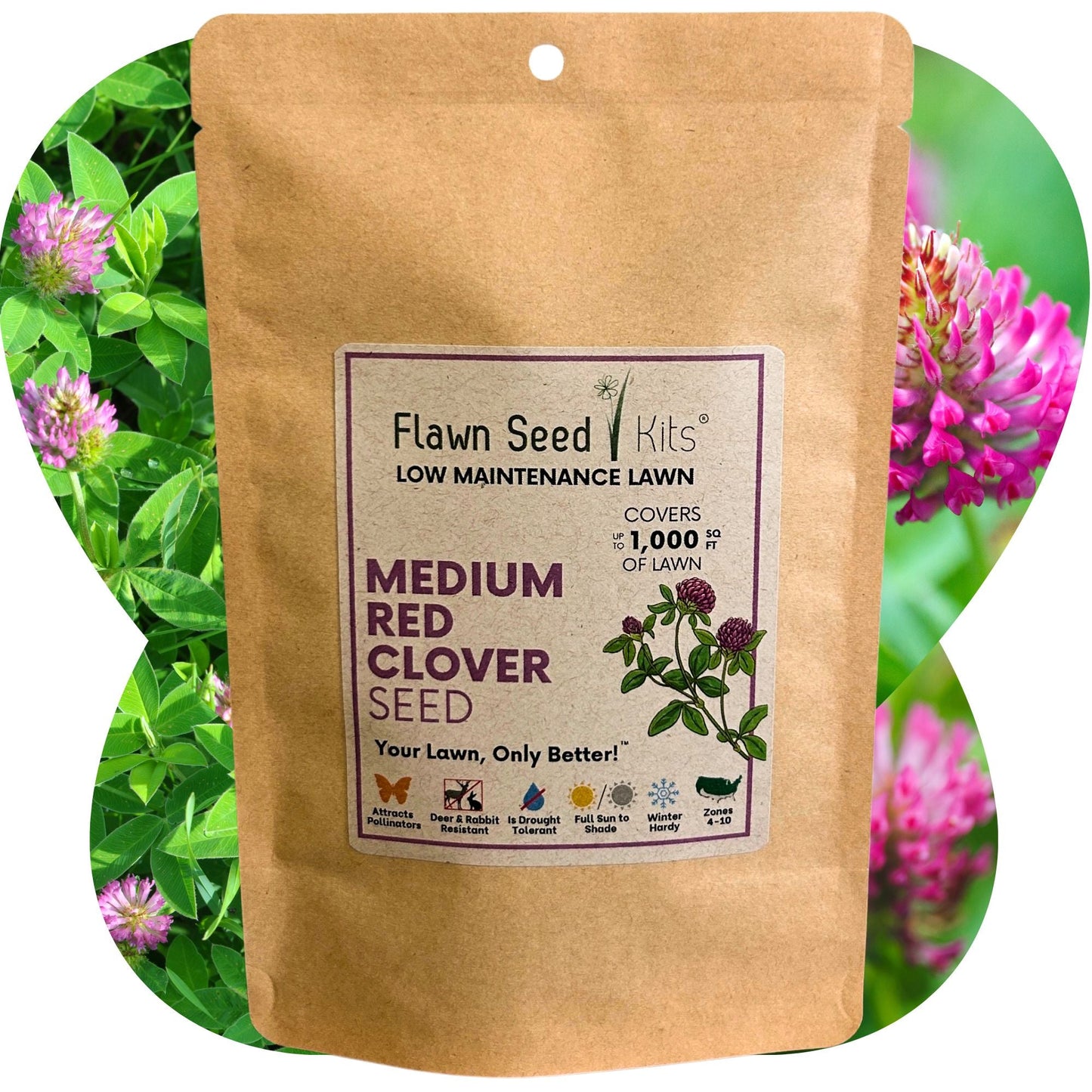 Medium Red Clover Seed – Non-GMO, Pollinator-Friendly, Perennial
