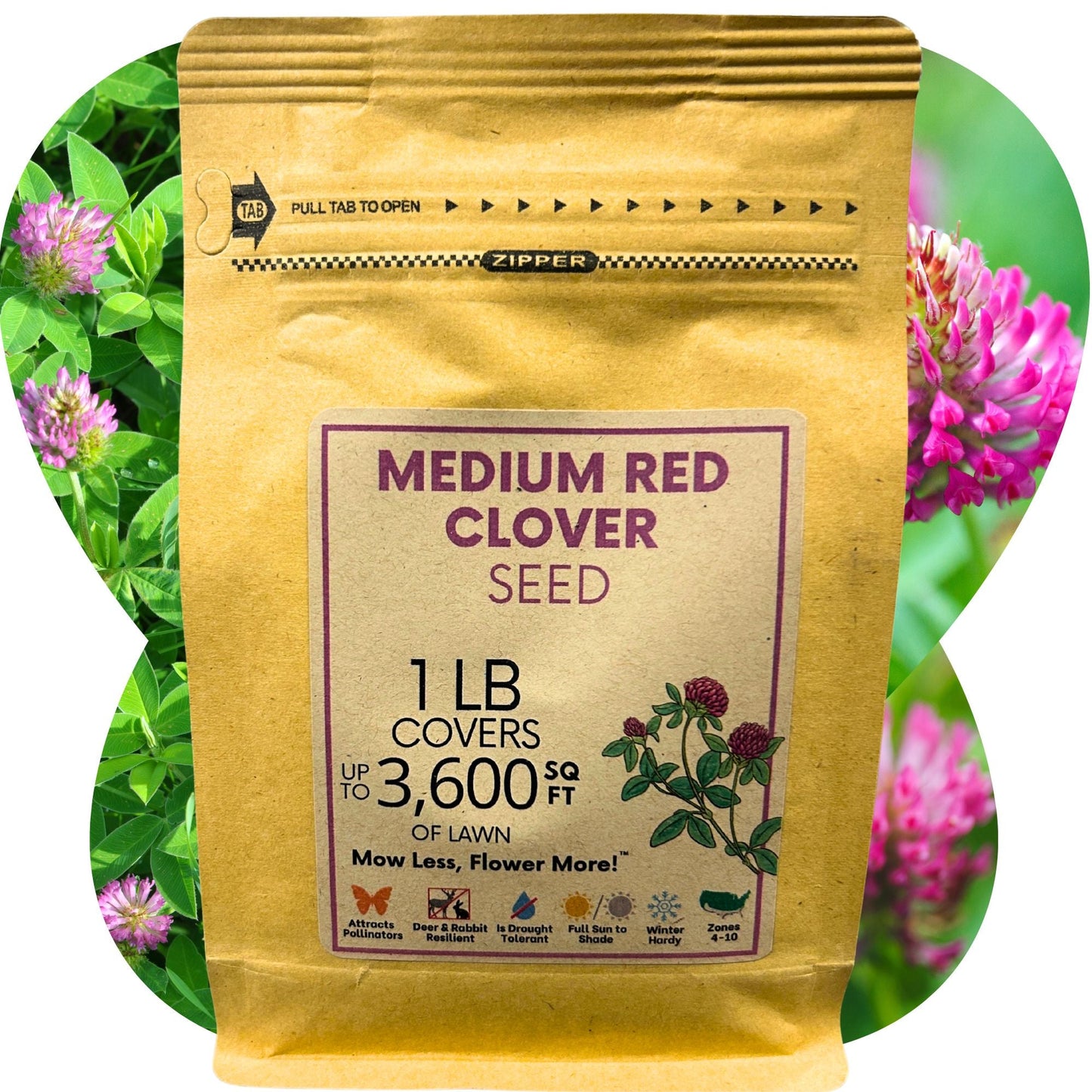 Medium Red Clover Seed – Non-GMO, Pollinator-Friendly, Perennial