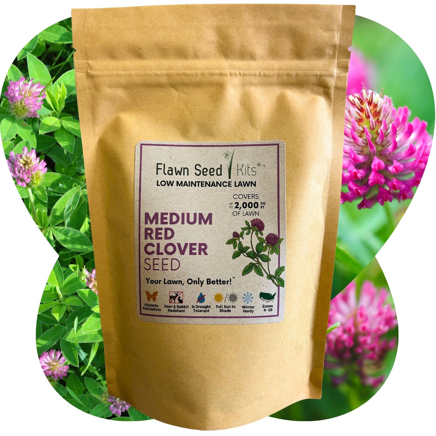 Medium Red Clover Seed – Non-GMO, Pollinator-Friendly, Perennial