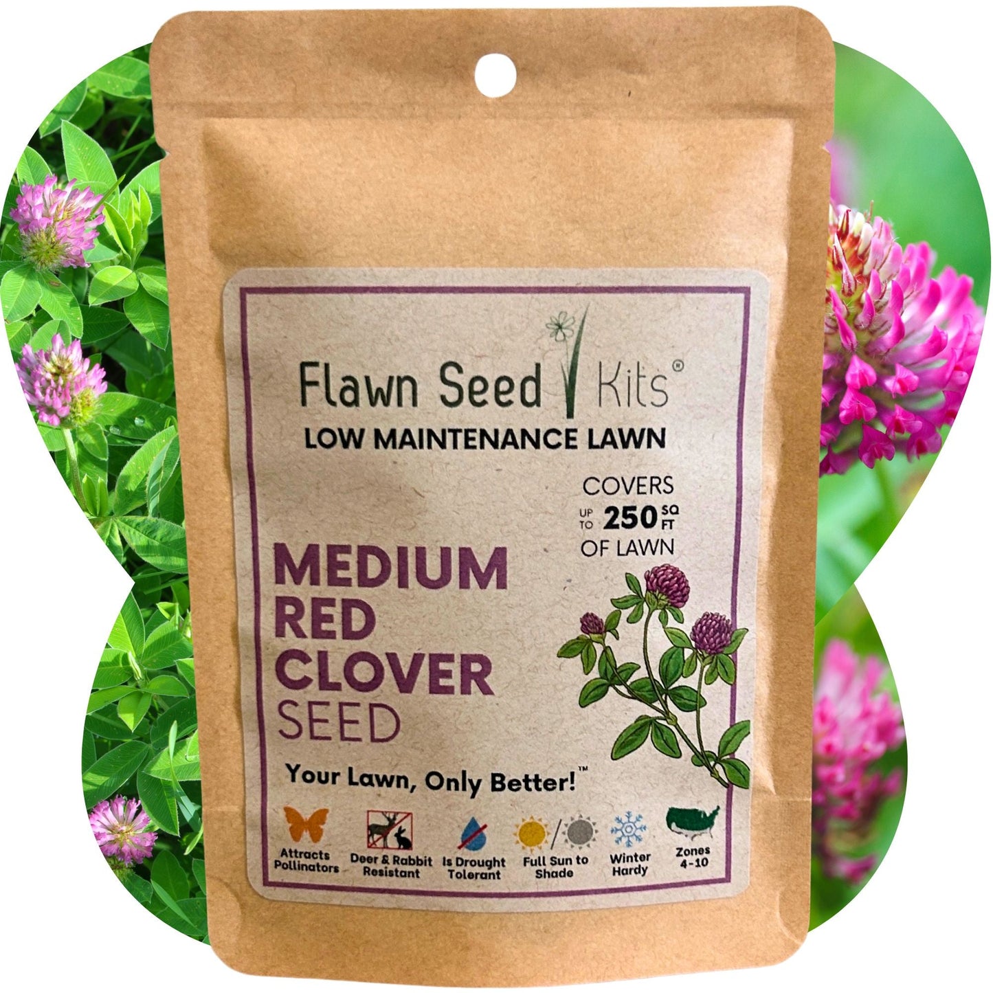 Medium Red Clover Seed – Non-GMO, Pollinator-Friendly, Perennial