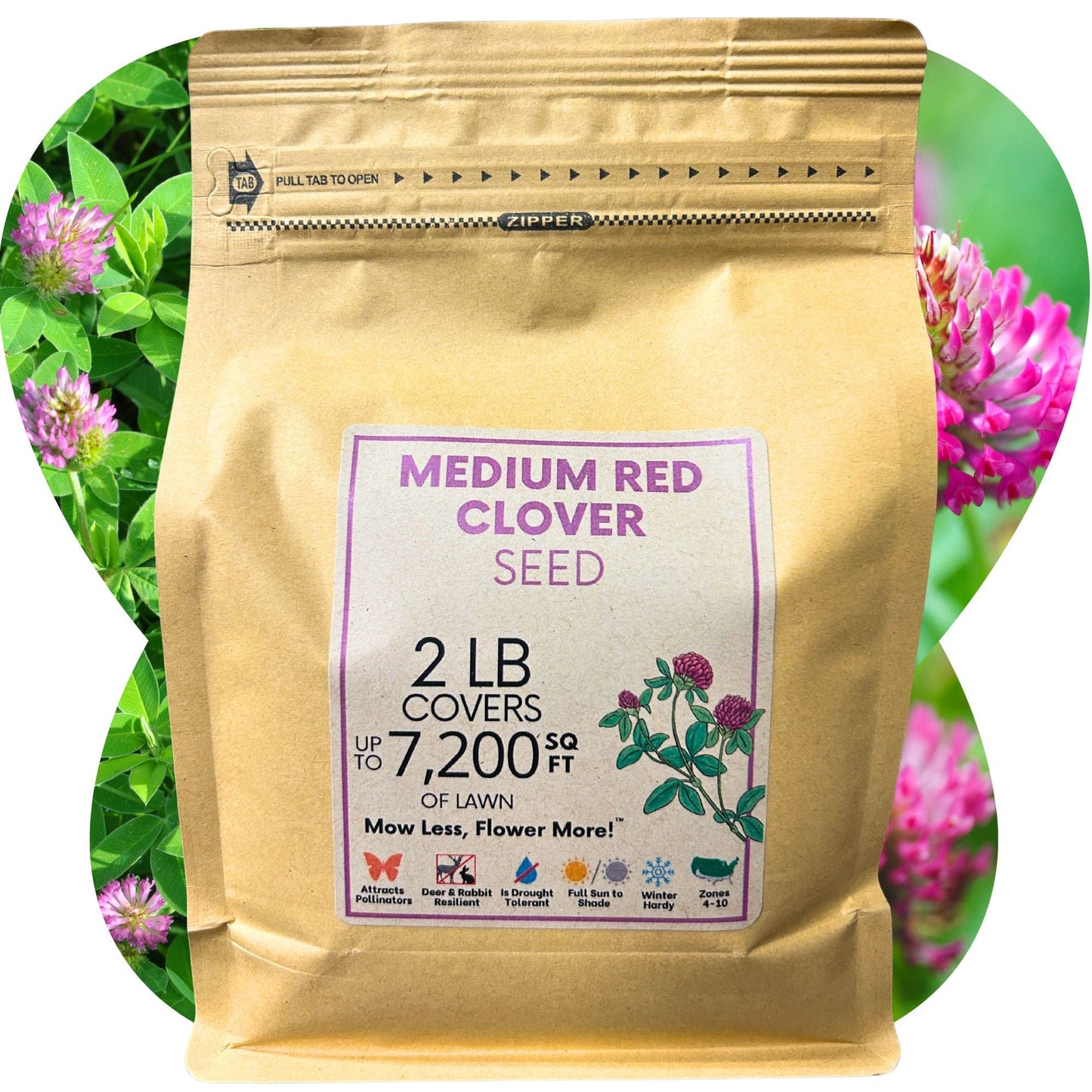 Medium Red Clover Seed – Non-GMO, Pollinator-Friendly, Perennial