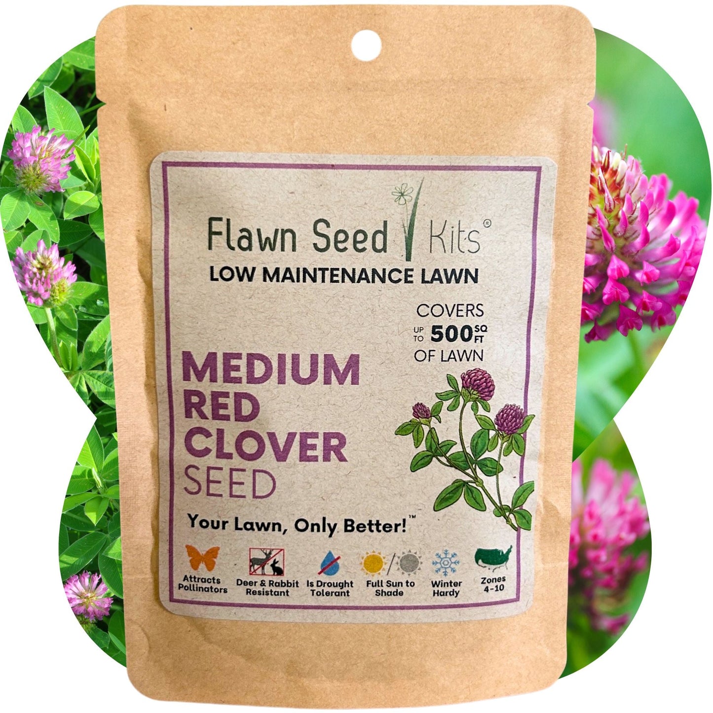 Medium Red Clover Seed – Non-GMO, Pollinator-Friendly, Perennial