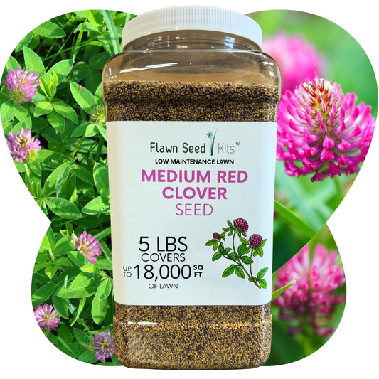Medium Red Clover Seed – Non-GMO, Pollinator-Friendly, Perennial