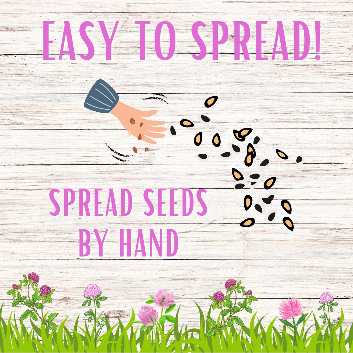 Medium Red Clover Seed – Non-GMO, Pollinator-Friendly, Perennial