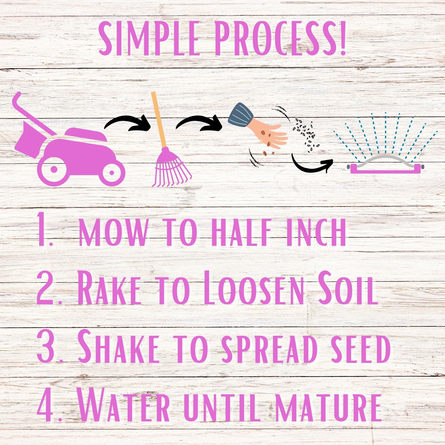 Medium Red Clover Seed – Non-GMO, Pollinator-Friendly, Perennial