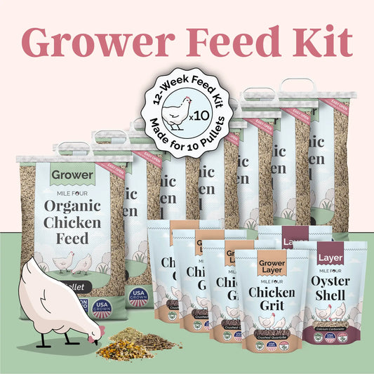Grower Feed Kit | 12 Weeks of Organic Feed & Grit for 10 Pullets