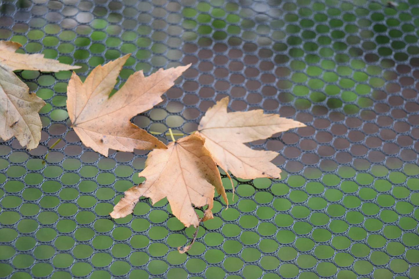 EasyPro Deluxe Pond Cover Tent