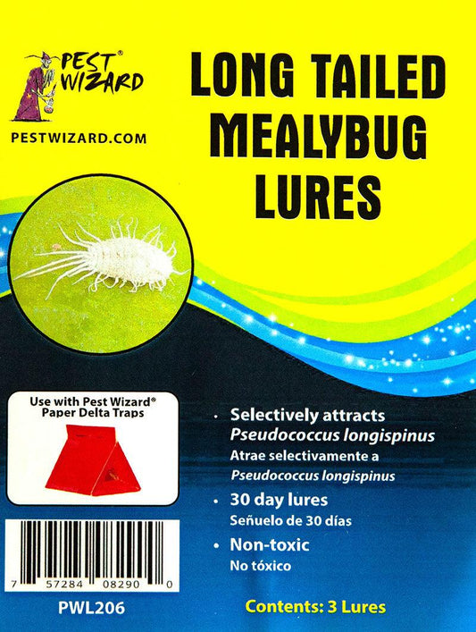 Pest Wizard Long Tailed Mealybug Lure 3-Pack