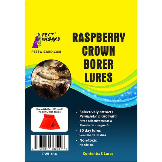 Pest Wizard Raspberry Crown Borer Lure 3-Pack