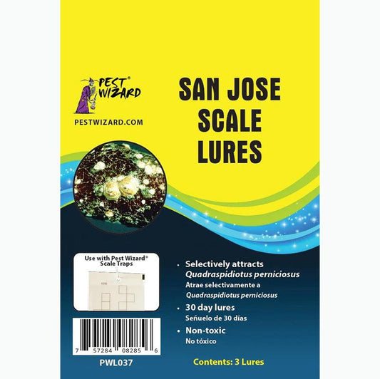 Pest Wizard San Jose Scale Lure 3-Pack