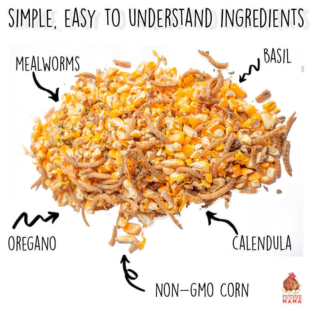 Poultry Queen Mealworm, Non-GMO Corn, Non-GMO Flax, & Herb Treat For Pet Chickens