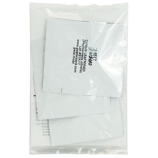 Pest Wizard Citrus Leafminer Lure 3-Pack