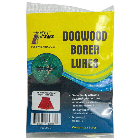 Pest Wizard Dogwood Borer Lure 3-Pack