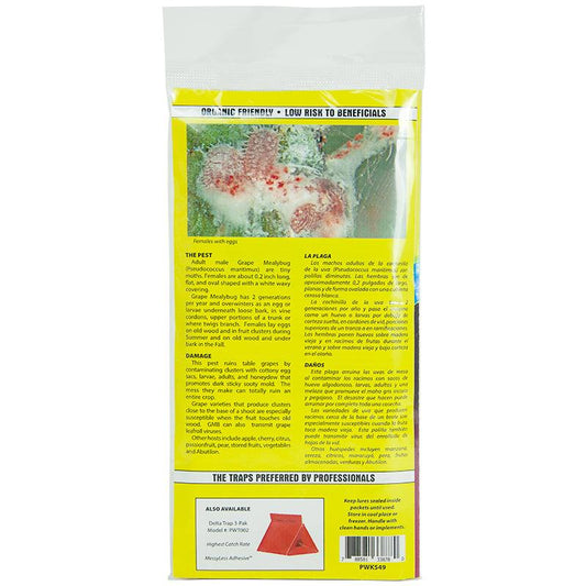 Pest Wizard Grape Mealybug Trap Kit
