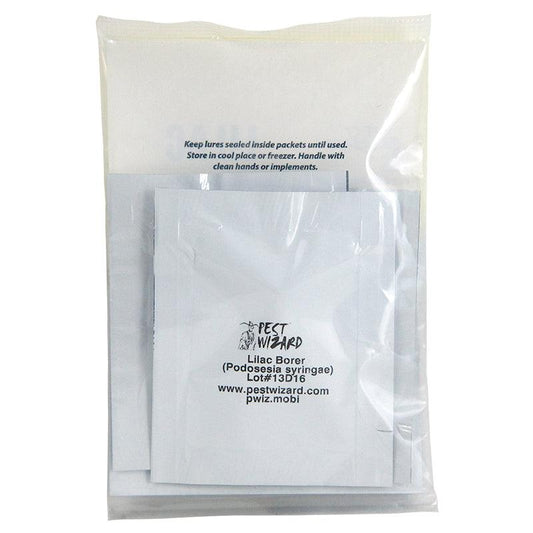 Pest Wizard Lilac Borer Lure 3-Pack