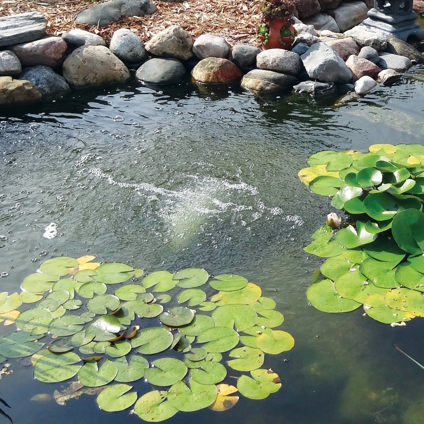 Easy Pro Pro-Clear Aire™ Aeration Compressors