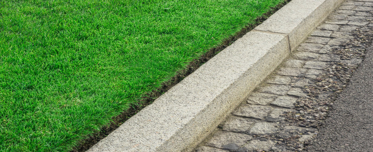 Crisp blade-cut edge between lawn and a stone walkway