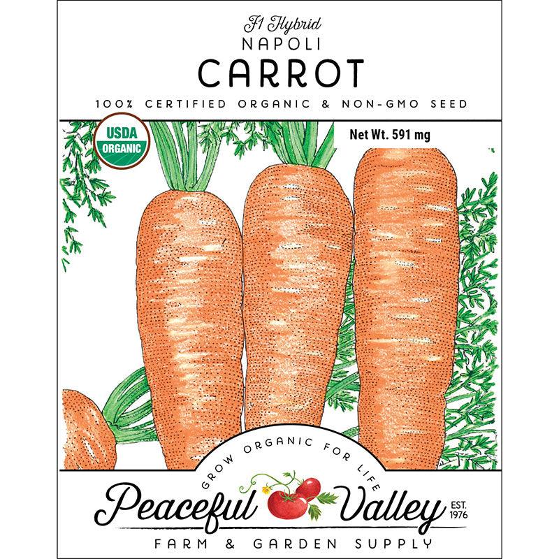 Napoli Carrot Seeds (Organic)