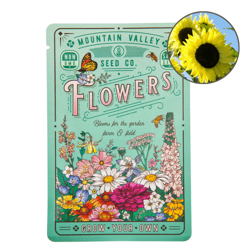 Lemon Queen Sunflower