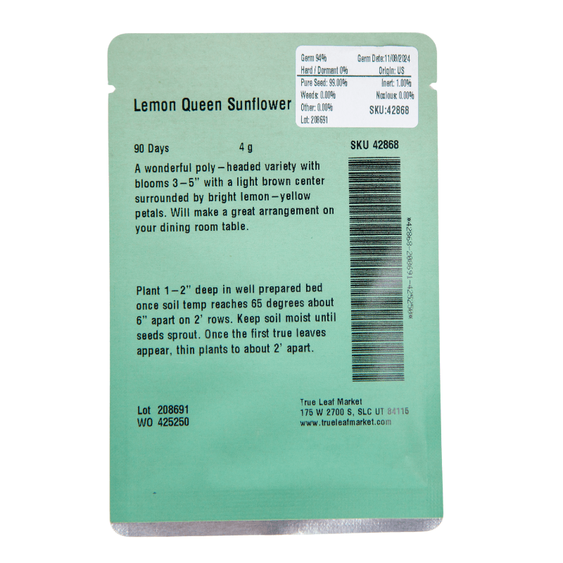 Lemon Queen Sunflower