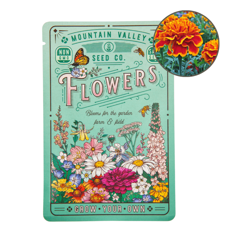 Sparky Marigold (Organic)