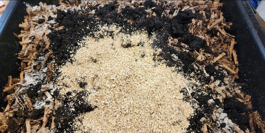 Spent Mushroom Substrate (SMS) Additive - Boost Your Worm Castings and Composting Systems