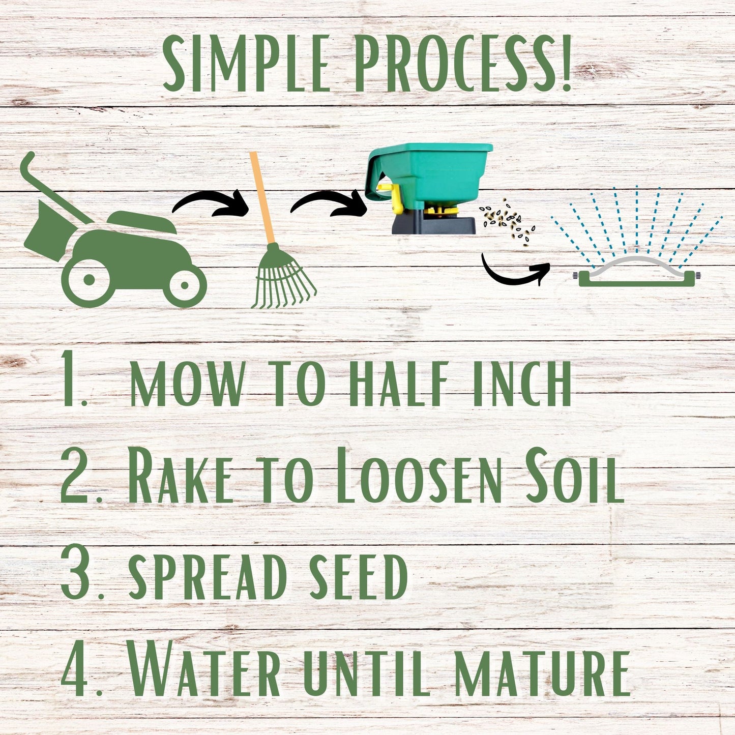 Dutch White Clover + Mow Less Grass Seed