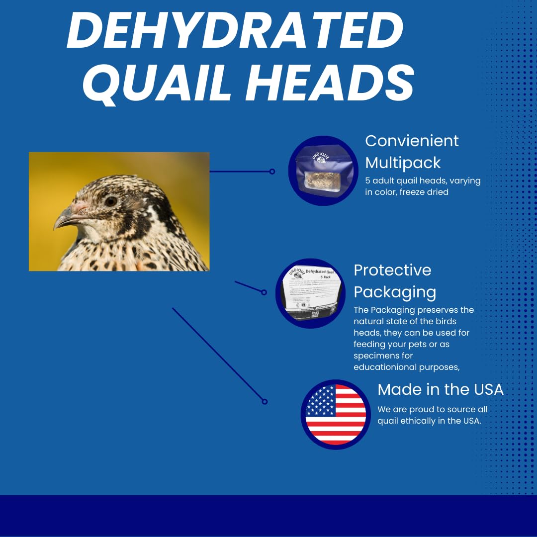 Fine Feline Feasts Quail Heads - Gourmet Cat Treats, High Protein, Nutrient-Dense, Promotes Natural Instincts, Healthy Skin & Coat, Minimal Ingredients Pack of 10