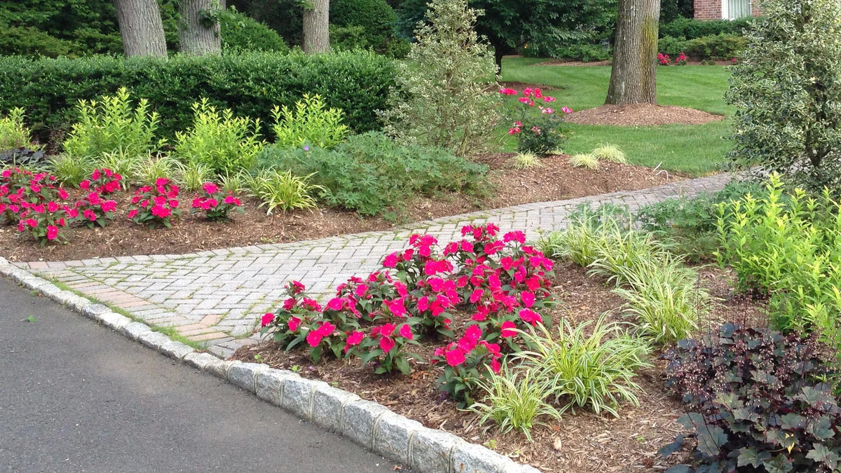 Renovated landscape bed with fresh plantings along a walkway