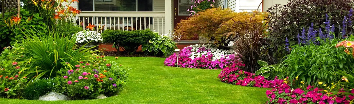Residential lawn care and landscaping