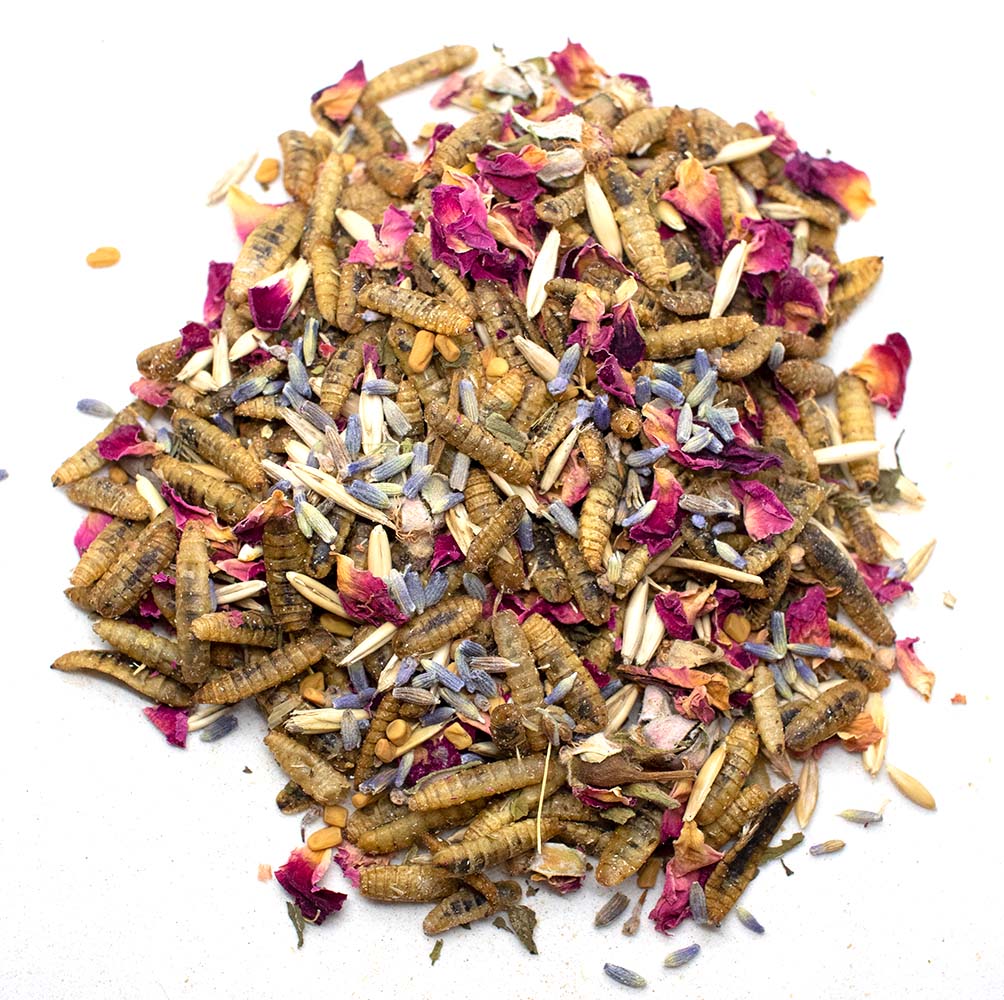 Valentine's Goody Box - 7 Treats (12 pounds total!)