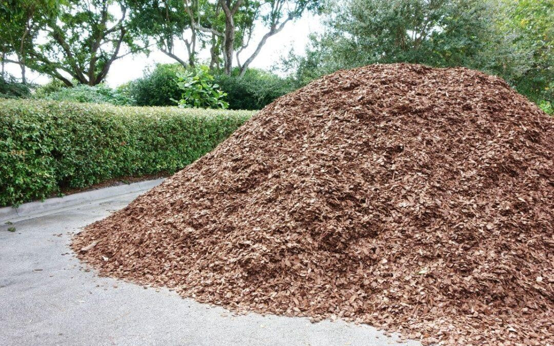 Pile of shredded hardwood mulch beside a trimmed hedge