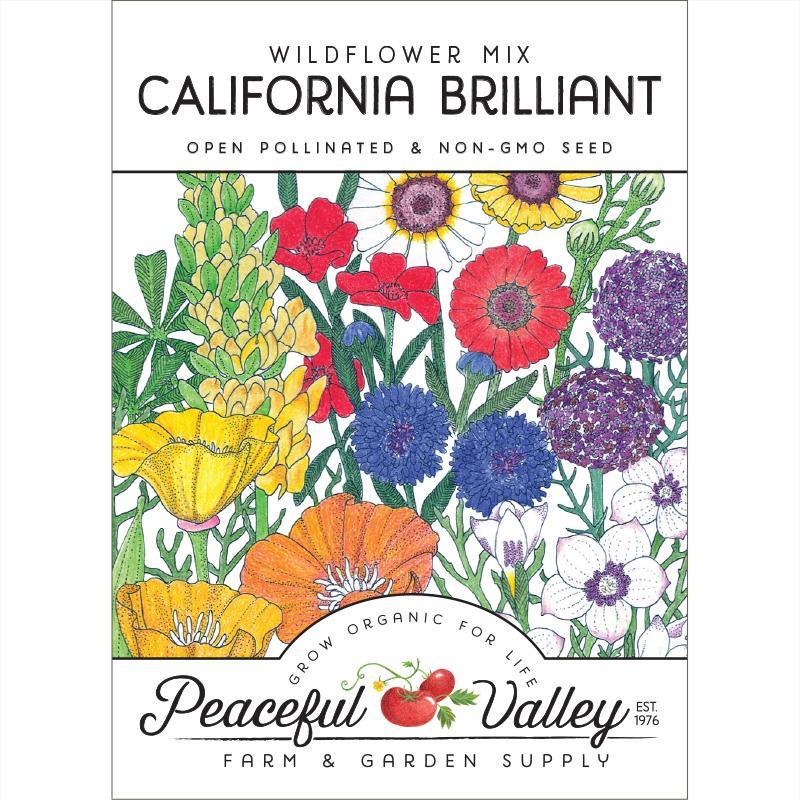 California Brilliant Wildflower Mix (pack)