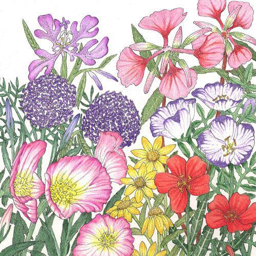 California Native Wildflower Mix (1/4 lb)