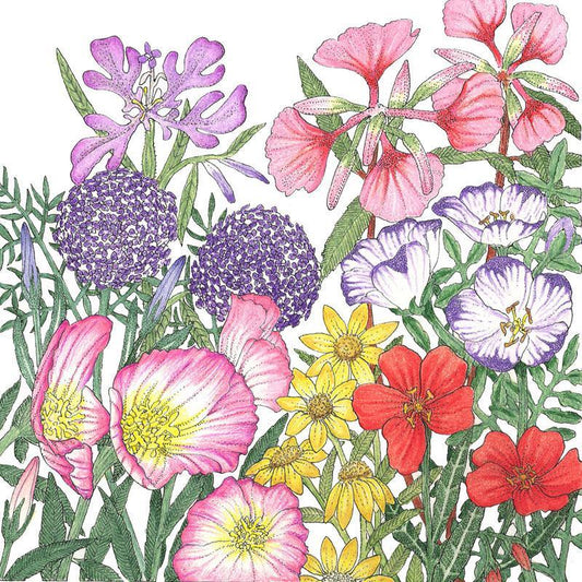 California Native Wildflower Mix (lb)
