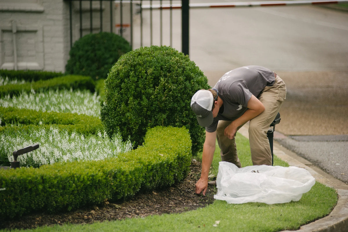 Formal hedges and beds being tended on institutional grounds
