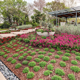 Commercial grounds maintenance