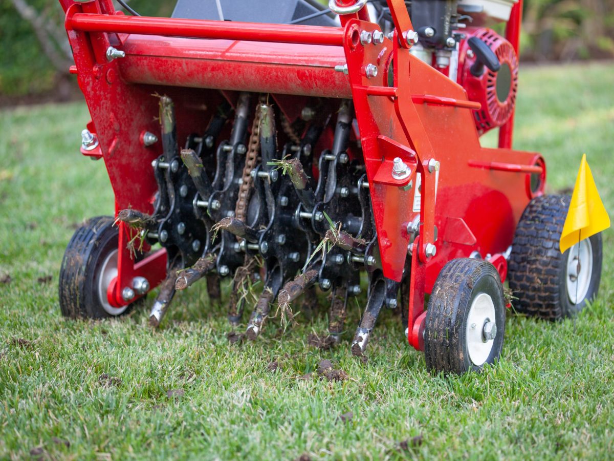 Core aerator tines pulling soil plugs from a lawn